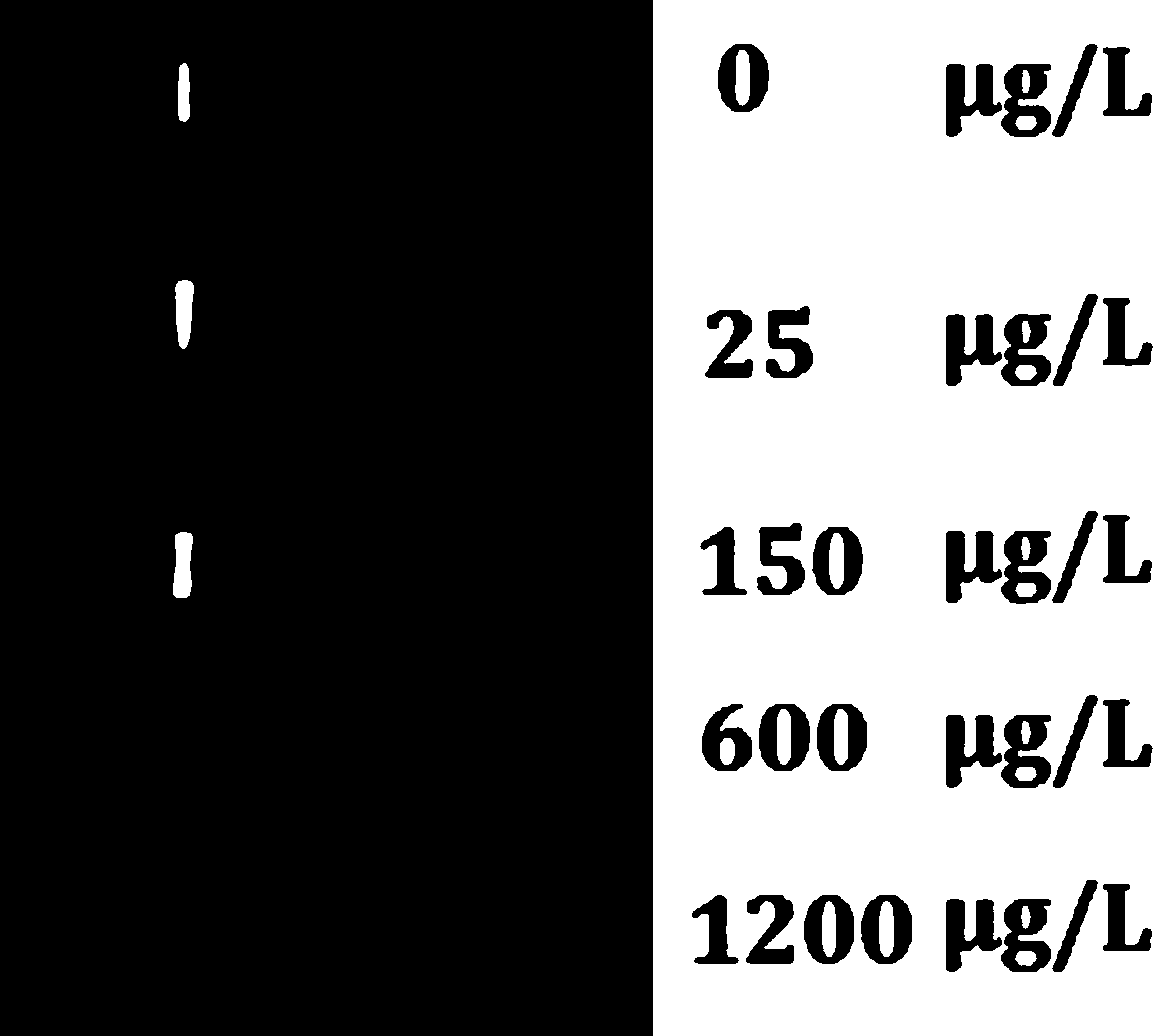 Quantum dot-labeled antibody probe test strip as well as preparation method and application thereof