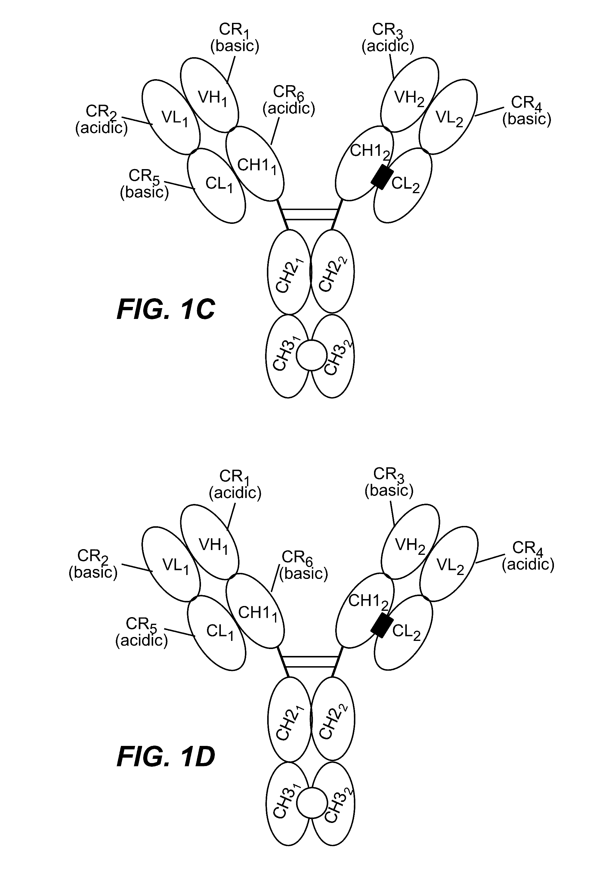 HUMANIZED AND AFFINITY MATURED ANTIBODIES TO FcRH5 AND METHODS OF USE
