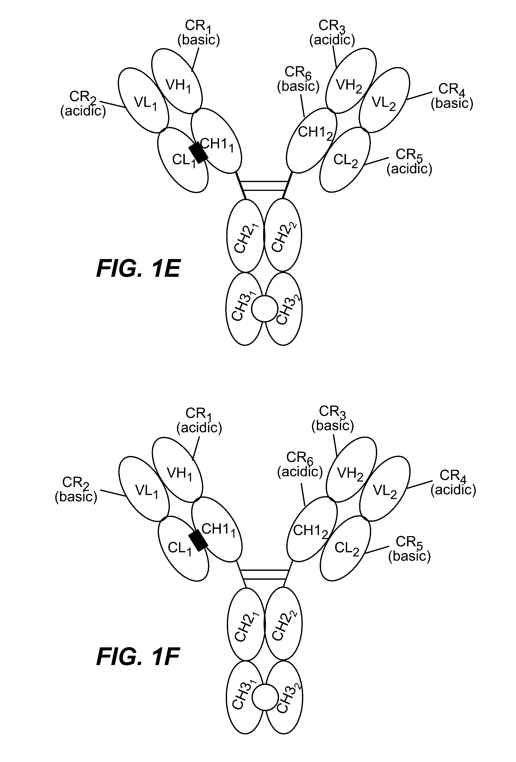 HUMANIZED AND AFFINITY MATURED ANTIBODIES TO FcRH5 AND METHODS OF USE