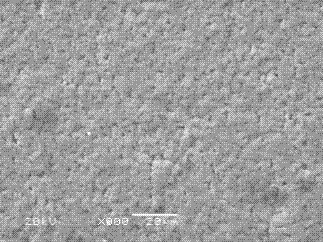 Method for preparing lithium battery polymer electrolyte having high conductivity