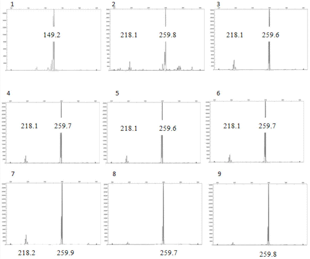 Nibea japonica microsatellite DNA markers