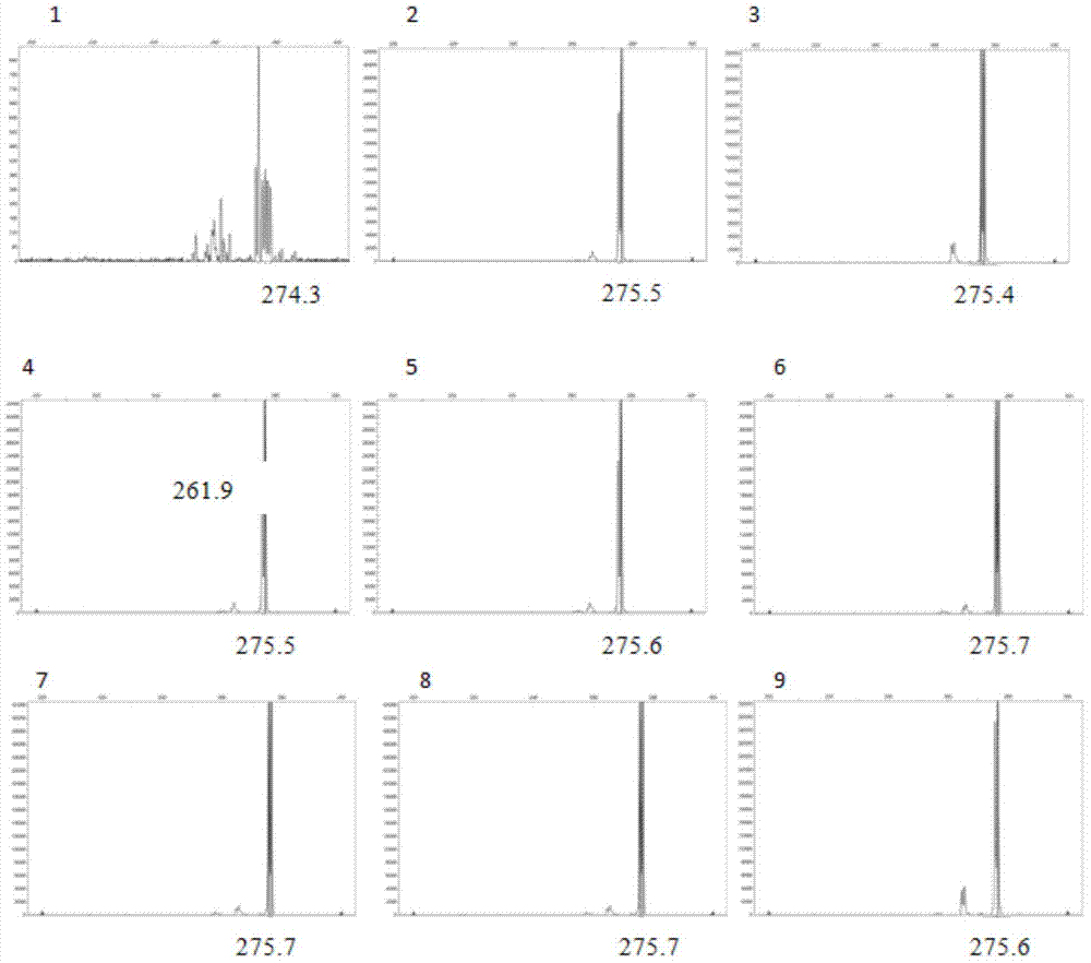 Nibea japonica microsatellite DNA markers