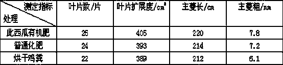 Organic fertilizer special for watermelons and preparation method thereof