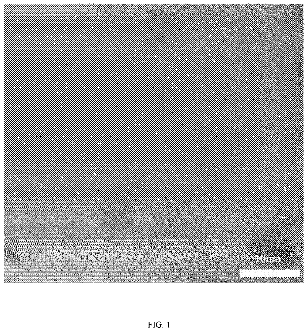 Metal oxide/silicon dioxide-coated quantum dot and method for preparing same