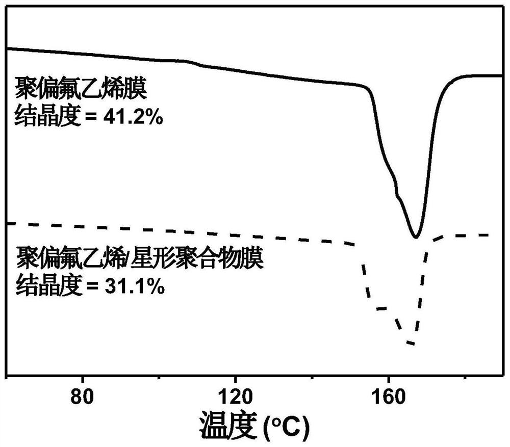 Gel polymer electrolyte as well as preparation method and application thereof