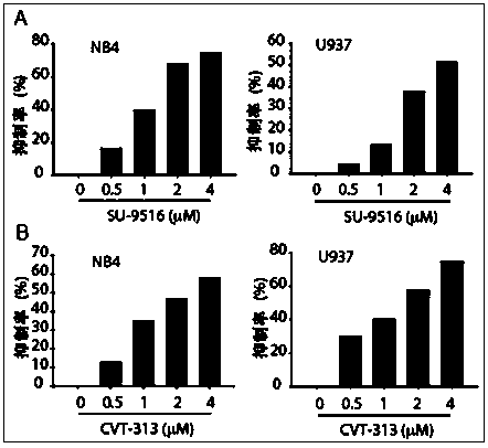 Application of cdk2 gene in preparation of medicine for inducing differentiation therapy of leukemia