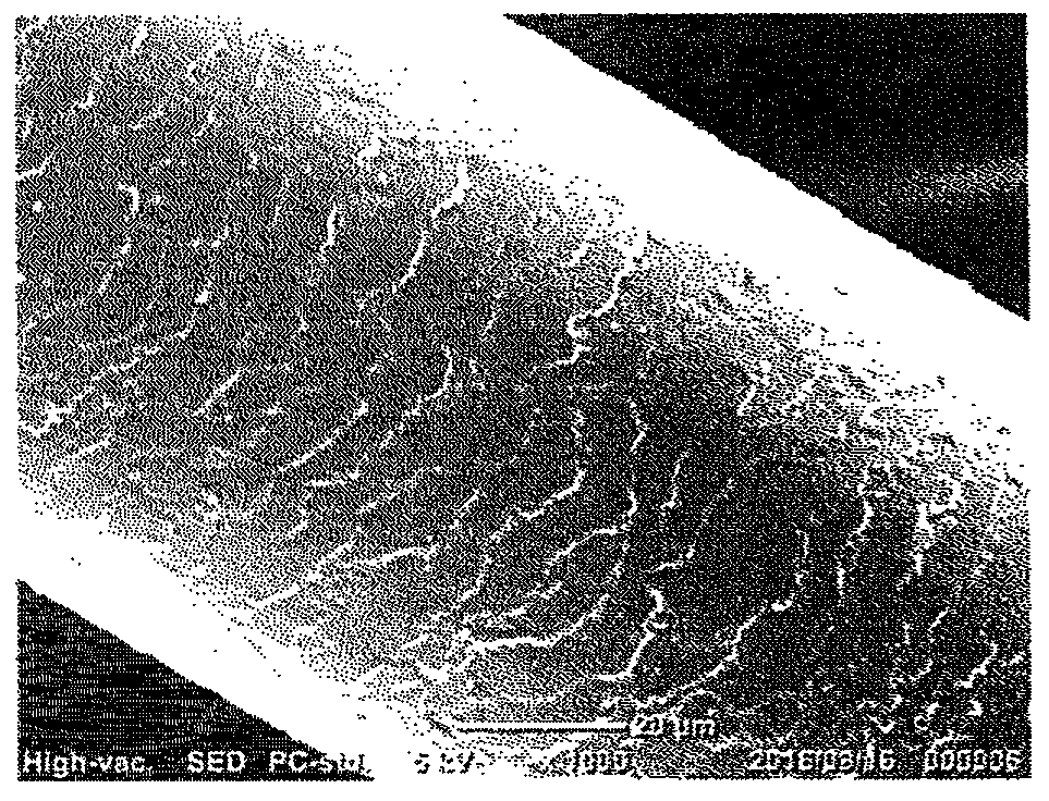 Bicontinuous microemulsion composition and cosmetic