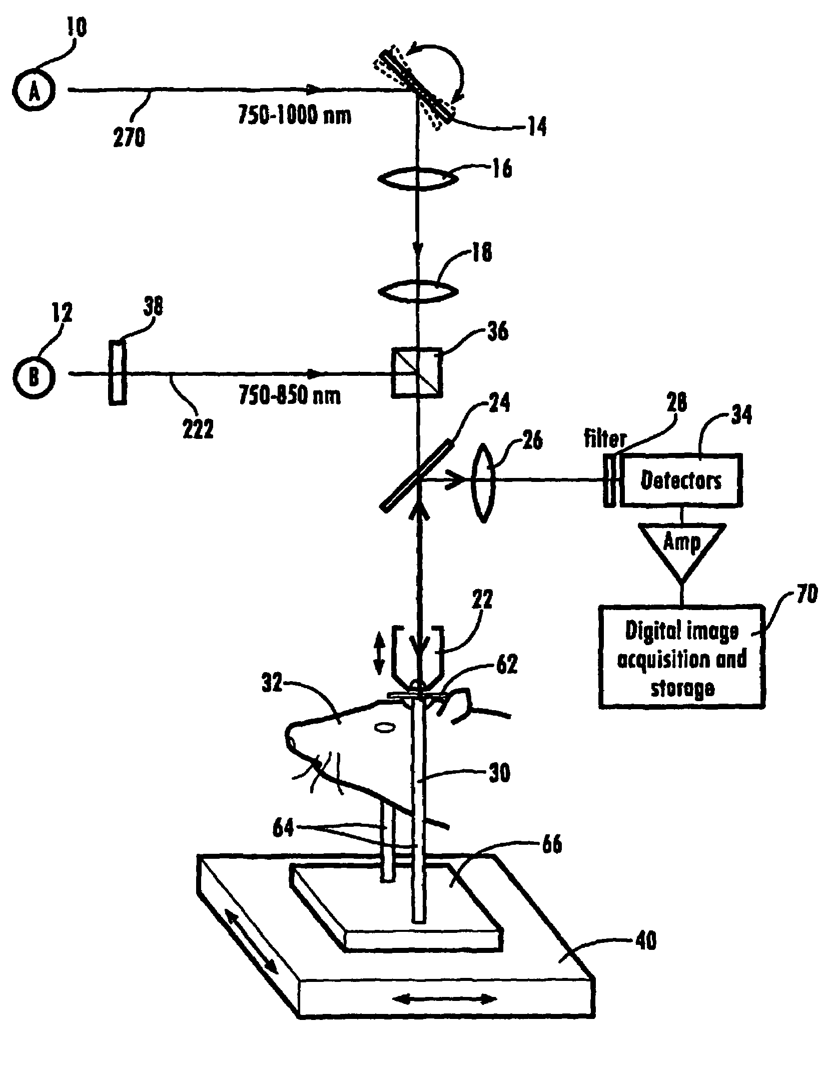 Device and method for inducing vascular injury and/or blockage in an animal model