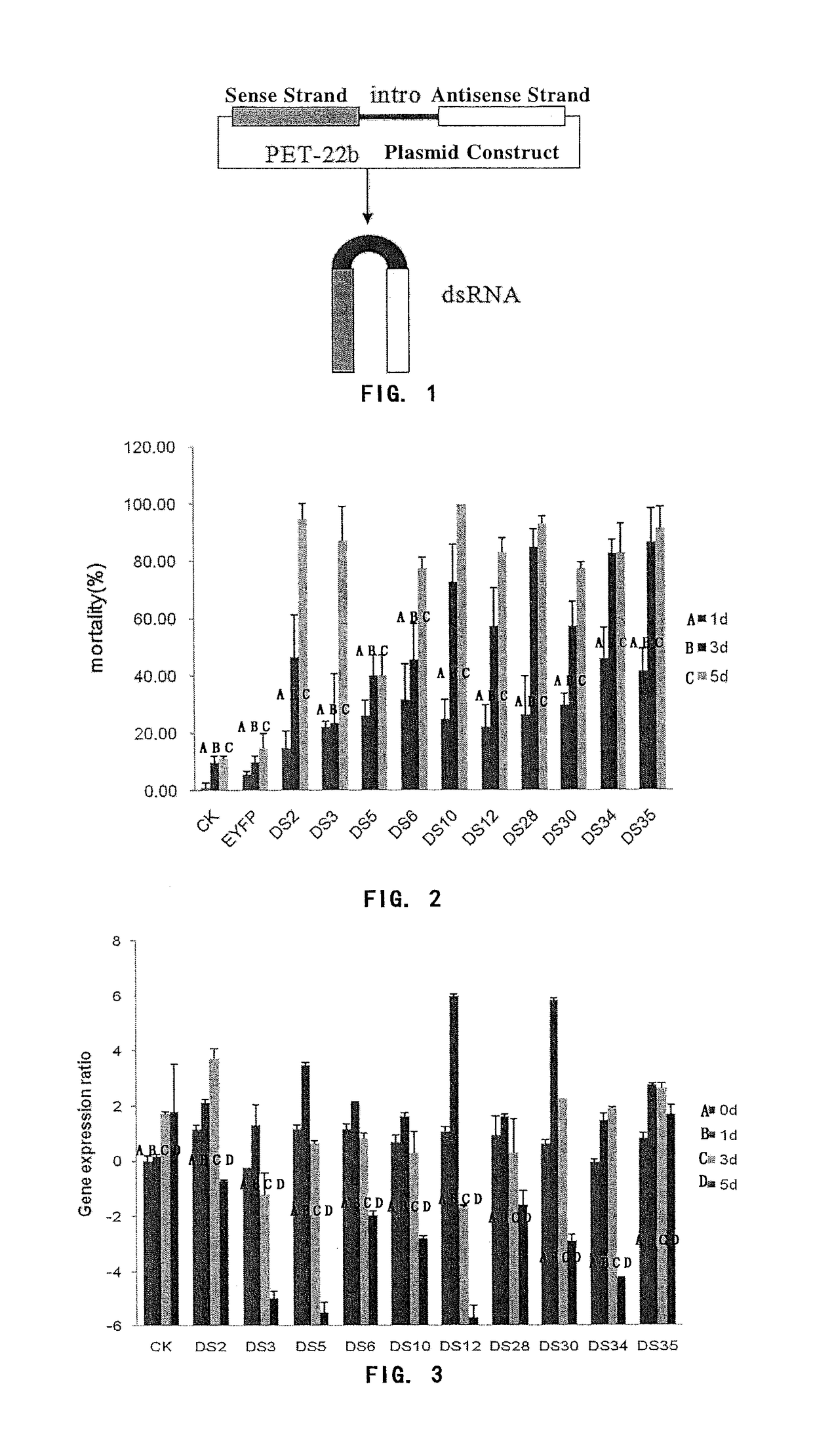 Insect-combating preparation and method based on RNAi technology