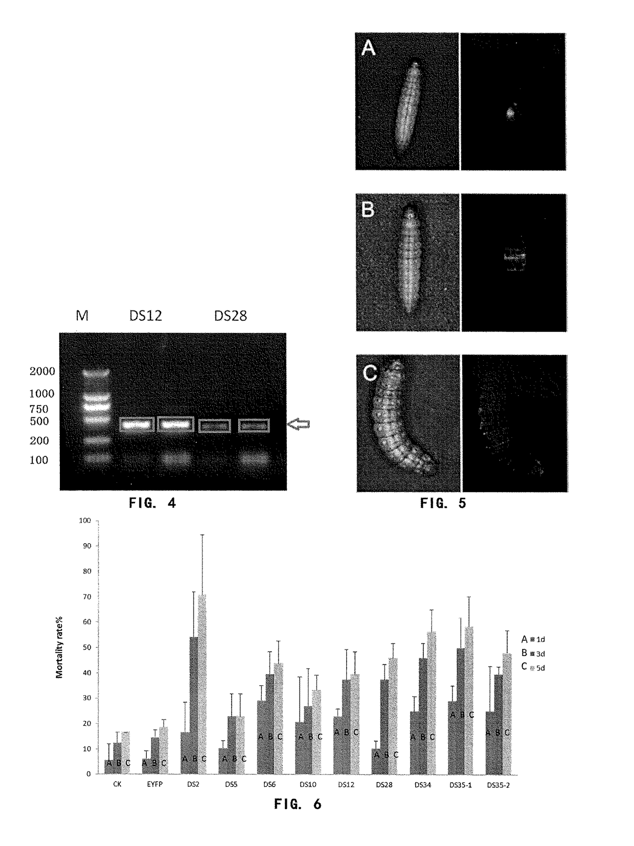 Insect-combating preparation and method based on RNAi technology