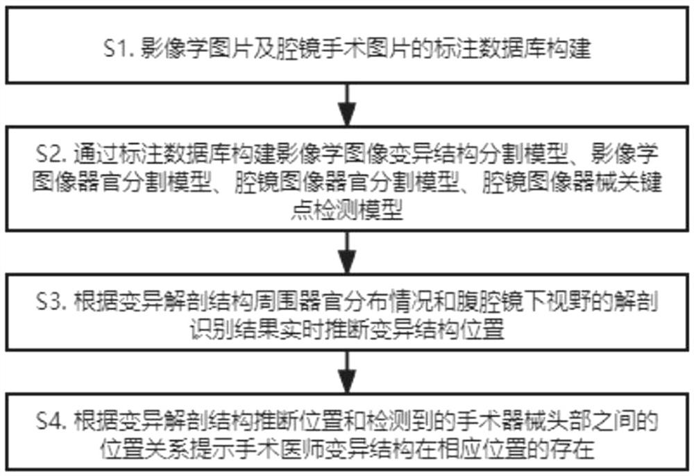 A method and system for identifying and prompting anatomical variation based on artificial intelligence