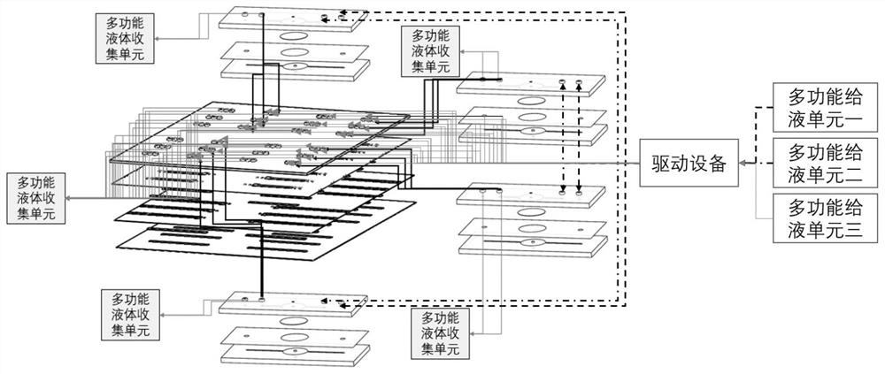 Barrier-stem cell homing bionic micro-fluidic chip and application thereof