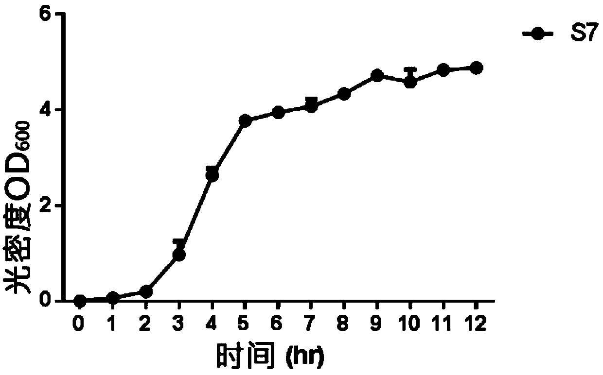 Citrobacter sp. strain and application thereof