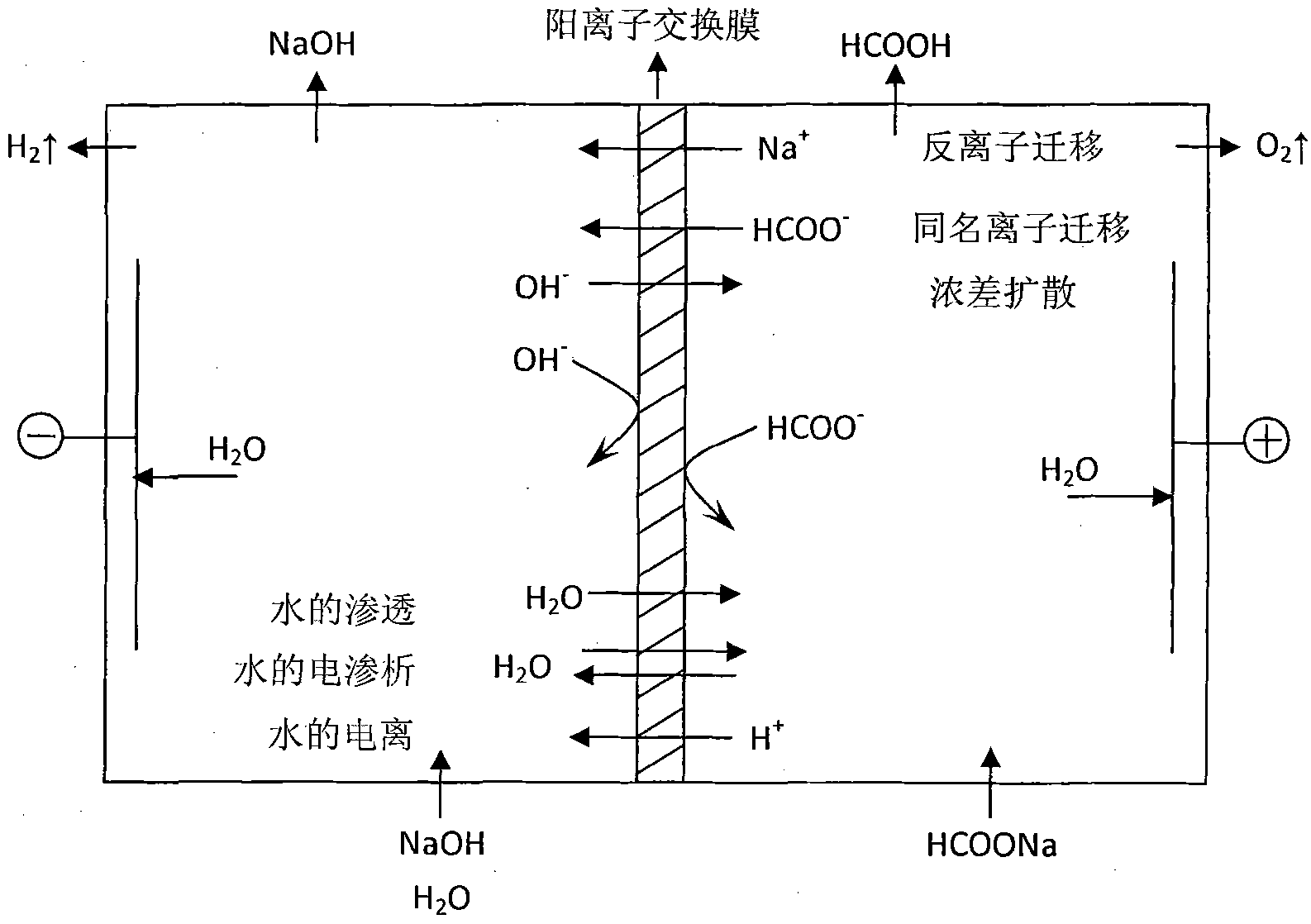 Synthesis process of calcium formate