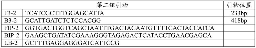 Primer, amplification reaction liquid, kit and detection method for LAMP detection of canine parainfluenza