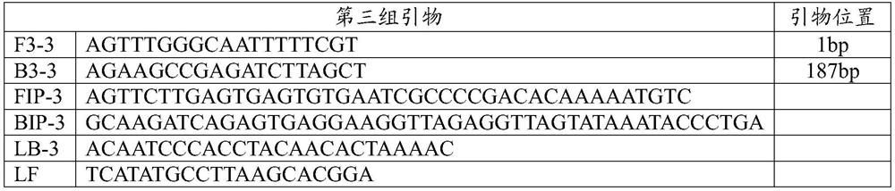 Primer, amplification reaction liquid, kit and detection method for LAMP detection of canine parainfluenza