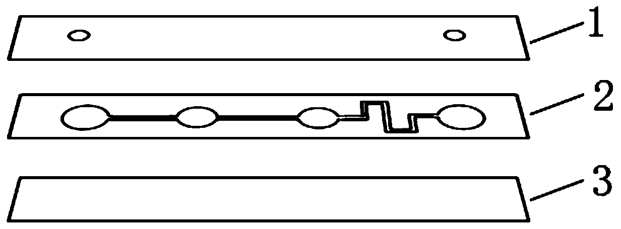 Microfluidic biochip detection device, preparation method and detection method