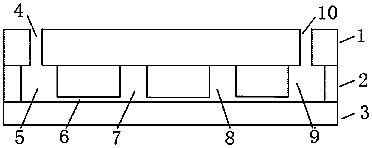 Microfluidic biochip detection device, preparation method and detection method