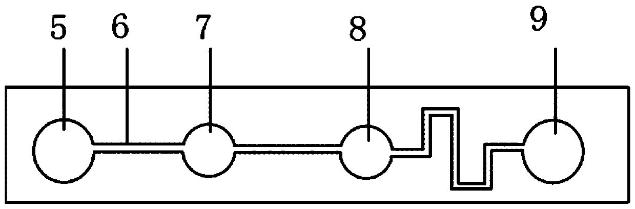 Microfluidic biochip detection device, preparation method and detection method