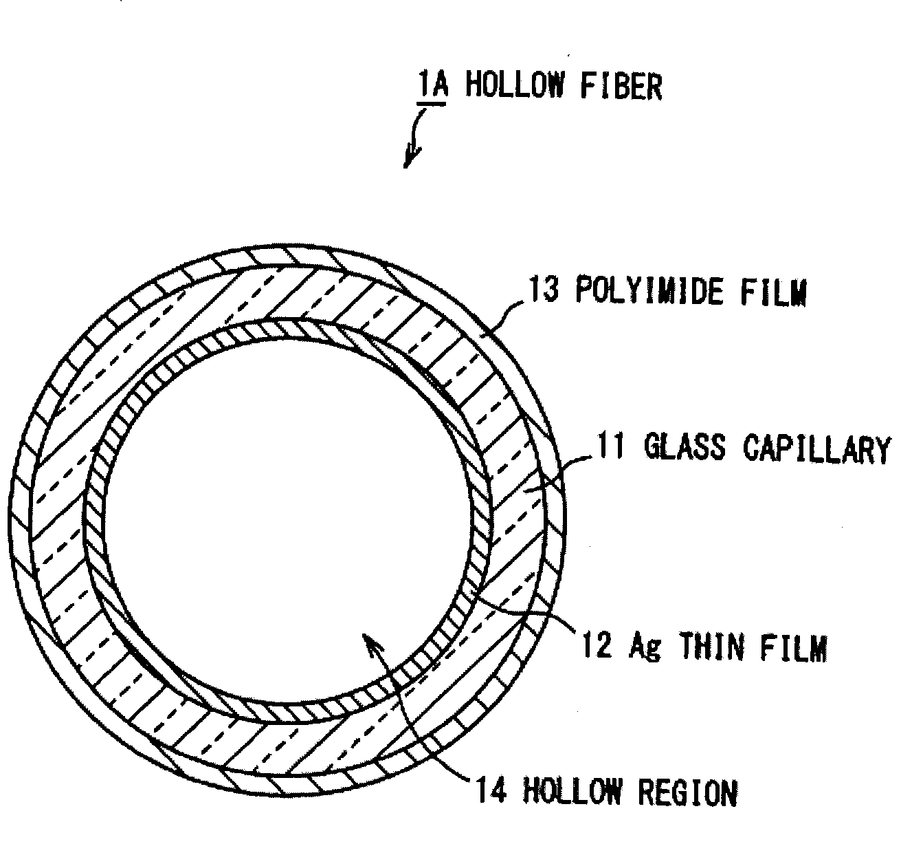Hollow fiber and method for fabricating same