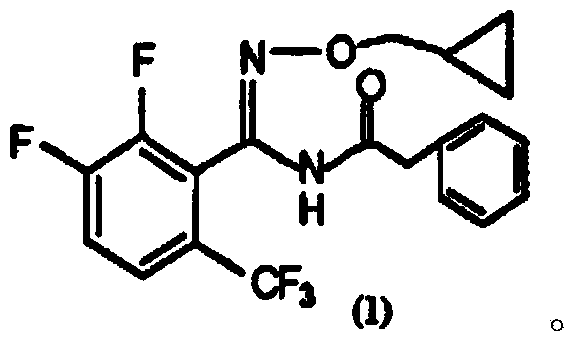 Cyflufenamid-contained bactericidal and insecticidal composition