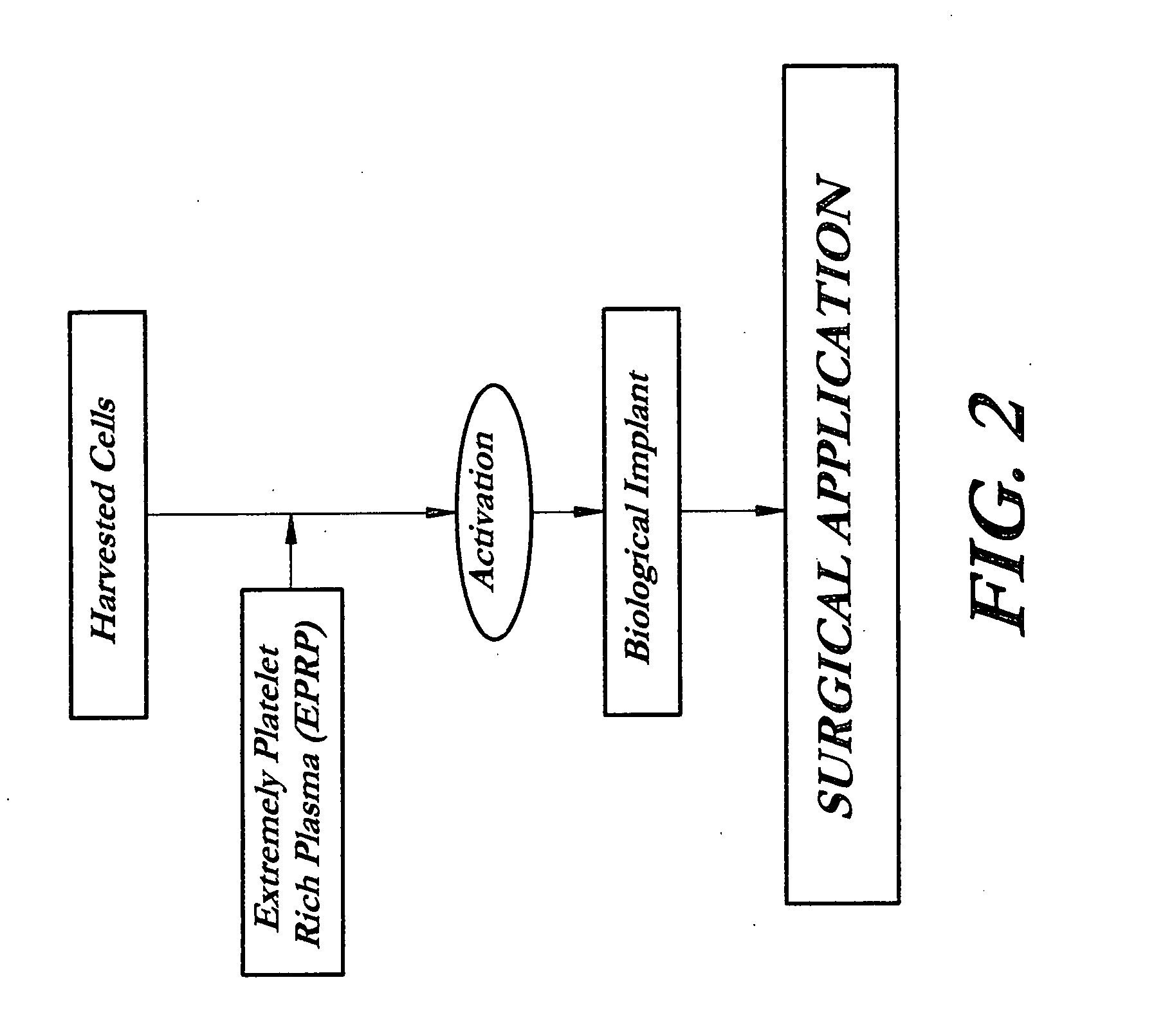 Composition and procedure for tissue creation, regeneration and repair by a cell-bearing biological implant enriched with platelet concentrate and supplements