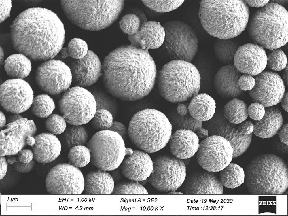 Degradable starch microsphere with rough surface structure, and preparation method thereof