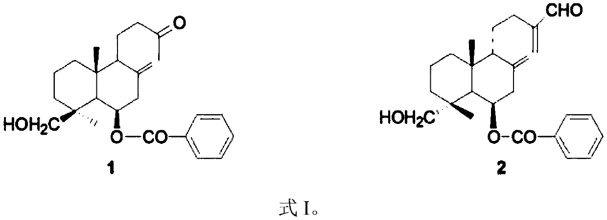 Two labdane diterpenoids, and extraction method and application thereof
