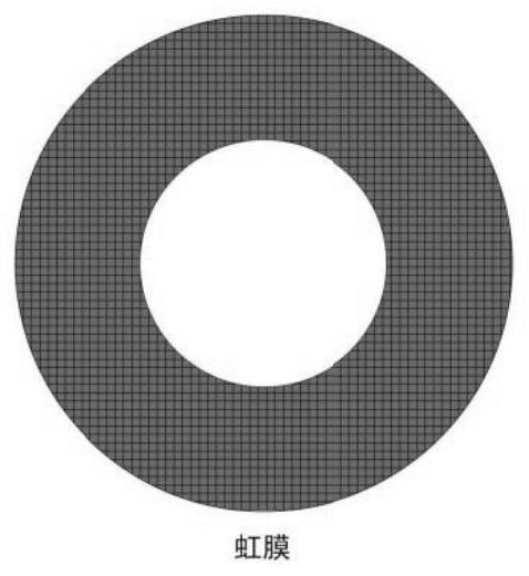 Iris positioning method, device and equipment