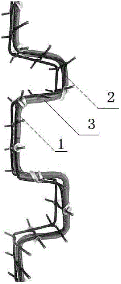 A method of cultivating and cultivating the trunk of the genus Lagerstroemia in a bow-like manner