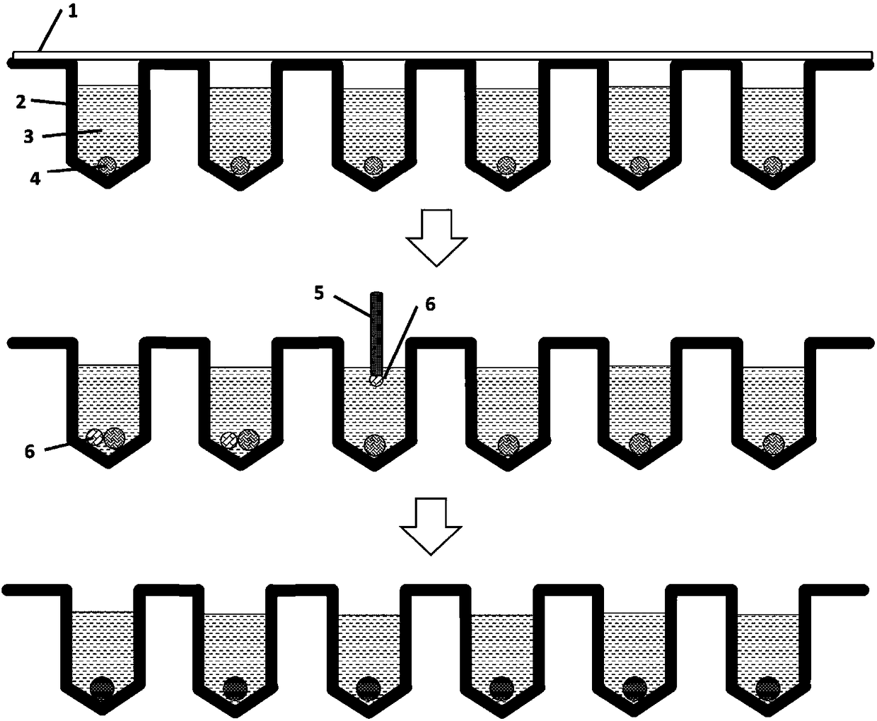 Porous plate with reagent-pre-storing micro-beads, preparation method and use method thereof