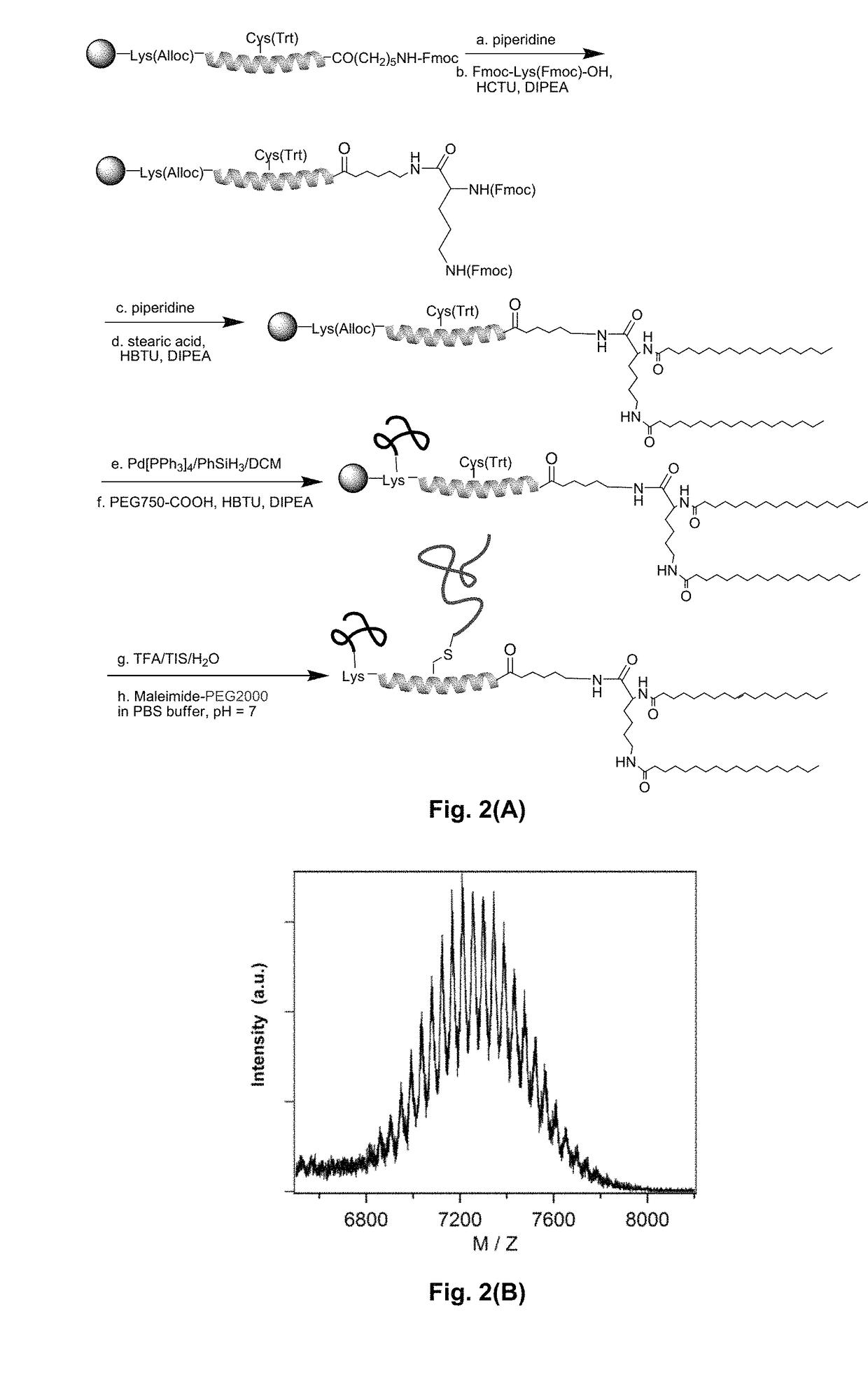 Bis-polymer lipid-peptide conjugates and nanoparticles thereof