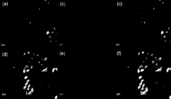 Florescent ion probe reagent for zinc ion detection and preparation method thereof