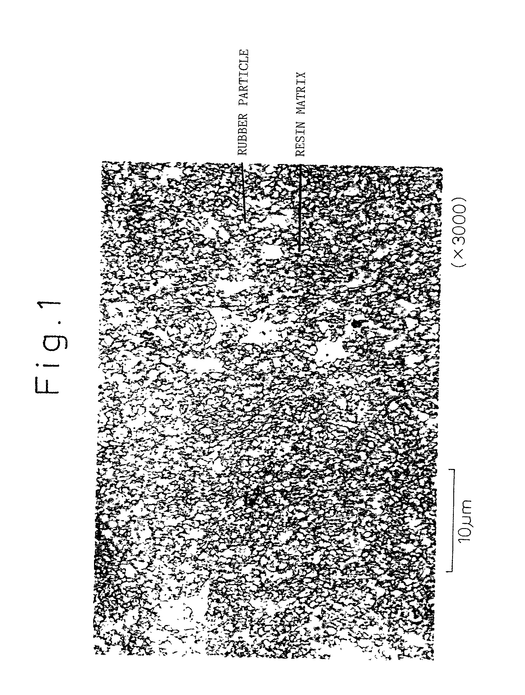 Thermoplastic elastomer composition and process for producing the same and pneumatic tire and hose using the same
