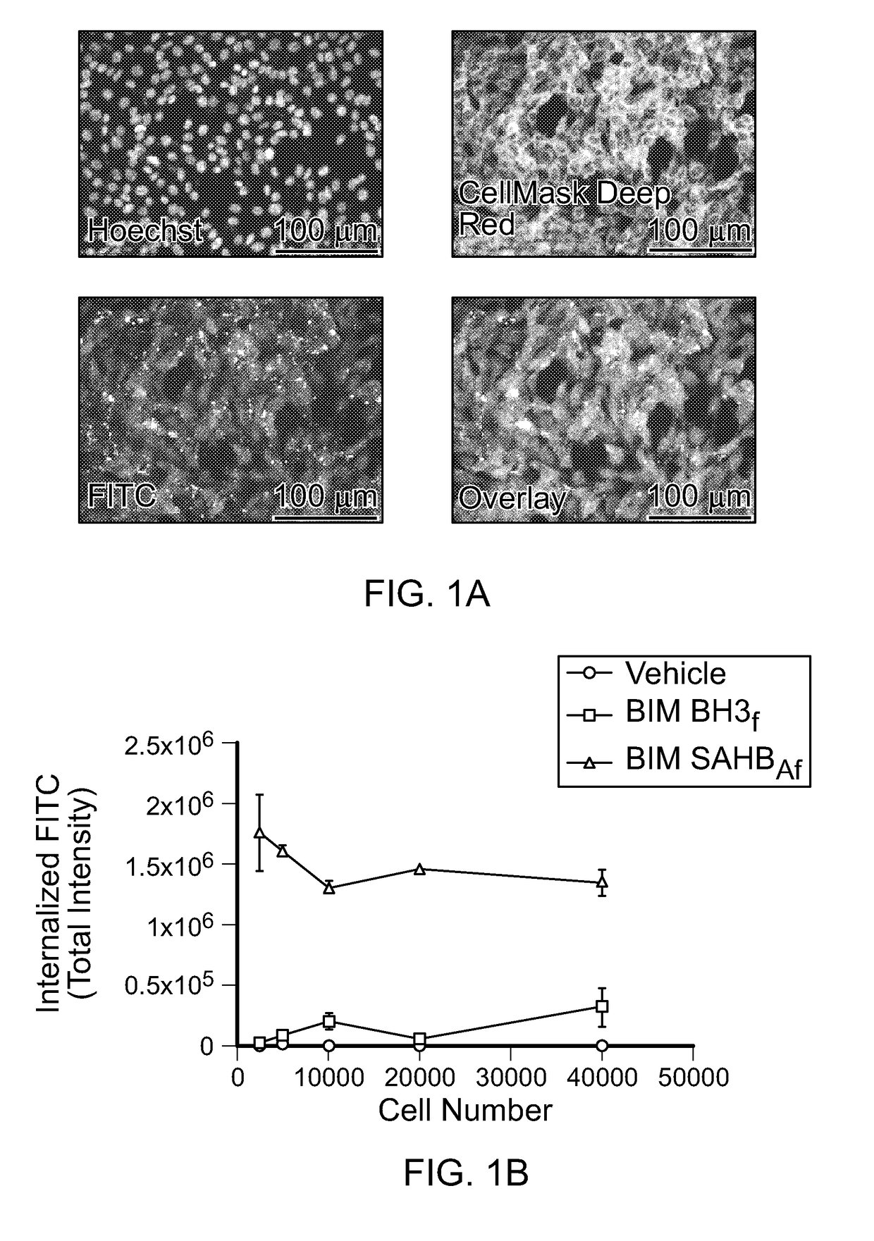 Method for generating cell-penetrating stapled peptides that lack nonspecific membrane-lytic properties for therapeutic targeting