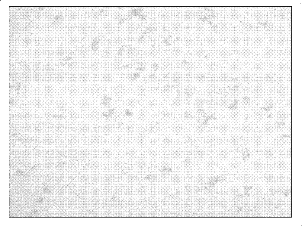 Method for testing and evaluating de-lipping performance of cigarette tipping paper