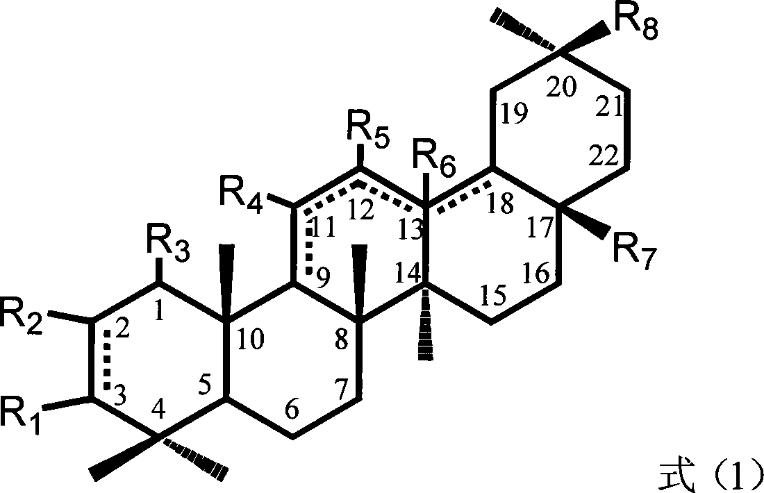 Oleanane derivative with carbonyl and oxygen substituent at C ring and use thereof