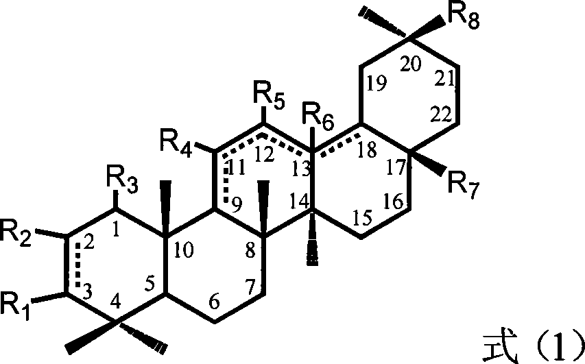 Oleanane derivative with carbonyl and oxygen substituent at C ring and use thereof