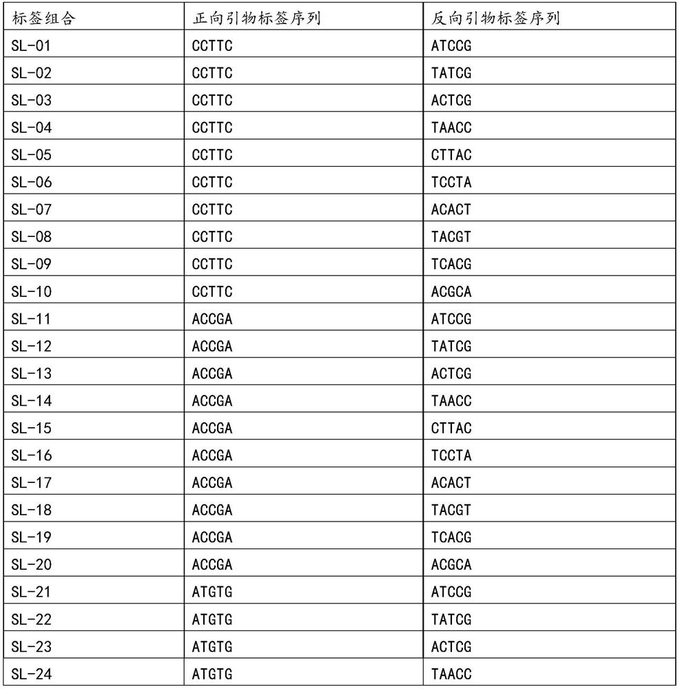 Sample mixing detection method for detecting purity of corn seeds based on mSNP technology