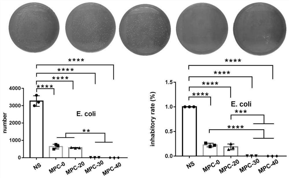 A kind of in-situ colloidal hydrogel and its preparation method and application