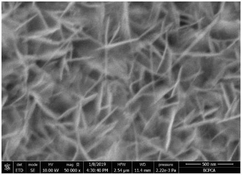 Method for synthesizing cobalt-doped ferronickel mesh nanosheet array efficient bifunctional electrocatalyst and application