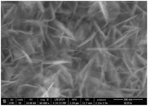 Method for synthesizing cobalt-doped ferronickel mesh nanosheet array efficient bifunctional electrocatalyst and application