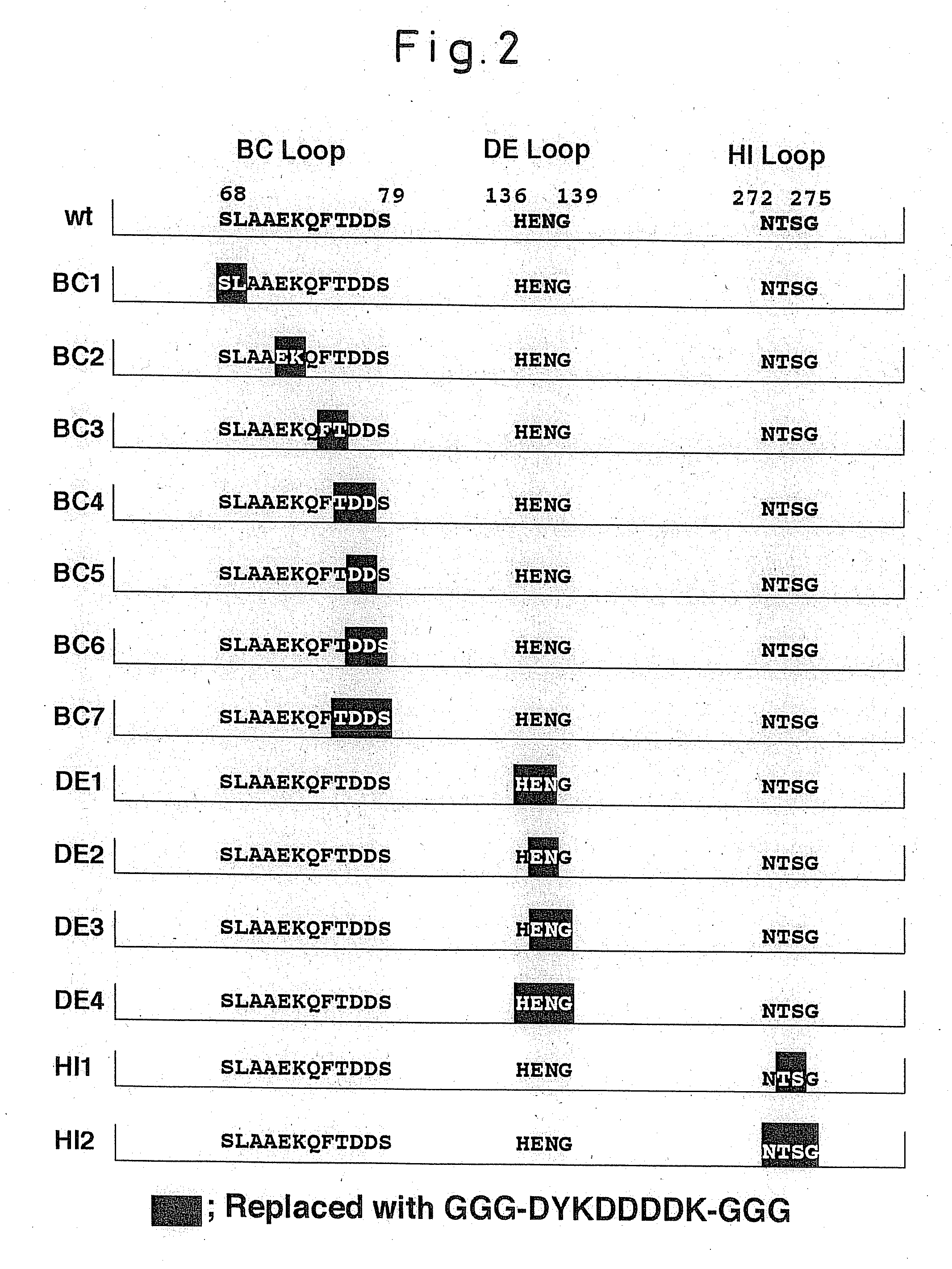 Altered virus capsid protein and use thereof