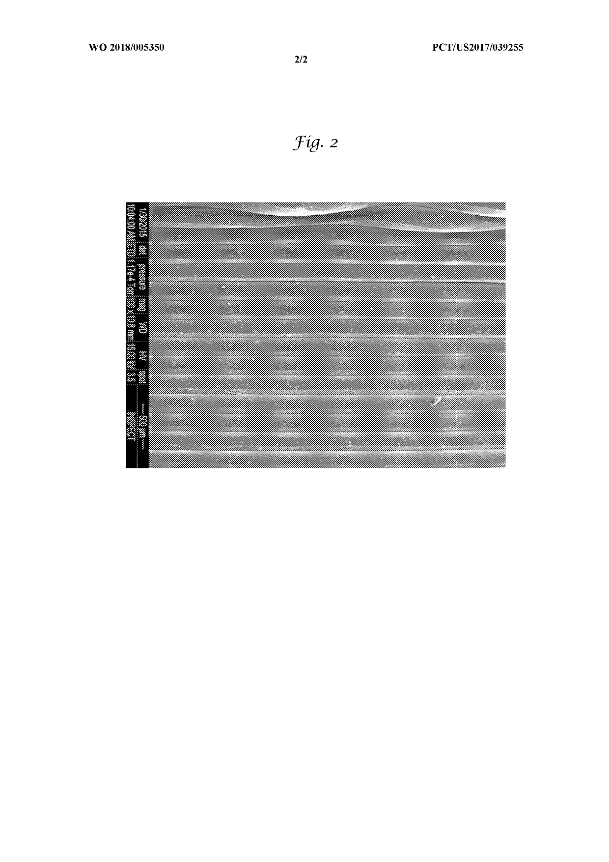 Method for additive manufacturing porous inorganic structures and composites made therefrom