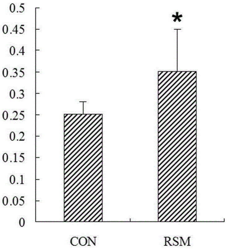 Recurrent spontaneous abortion relevant microRNA and applications thereof