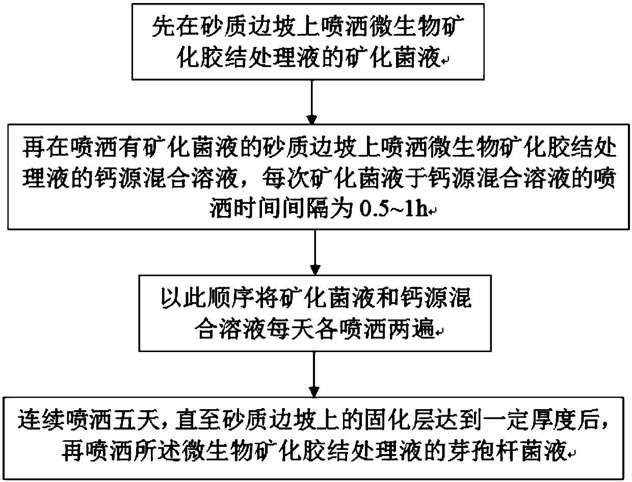 Microbial mineralized cementation treatment liquid and sandy slope treatment method