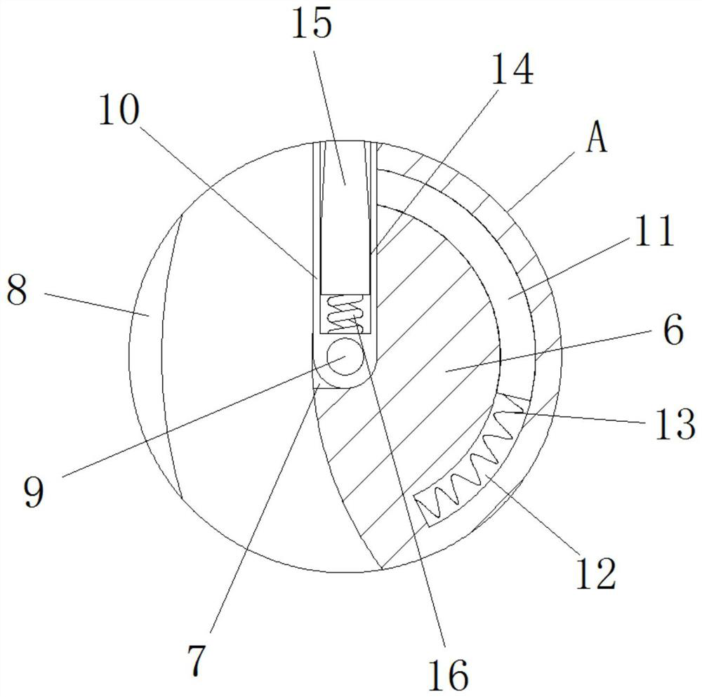 Coal processing crushing device capable of preventing dust from diffusing