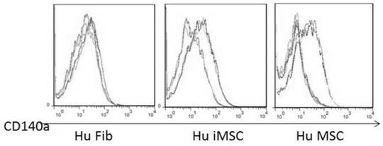 A method of inducing differentiated cells to prepare mesenchymal stem cells and a combination of regulatory targets