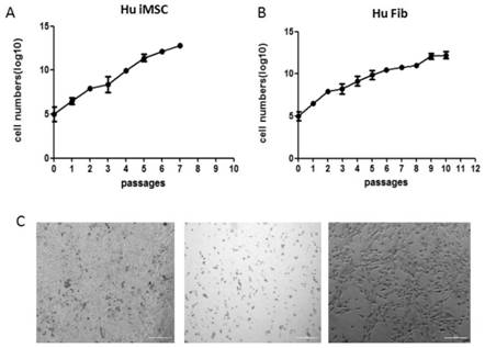 A method of inducing differentiated cells to prepare mesenchymal stem cells and a combination of regulatory targets