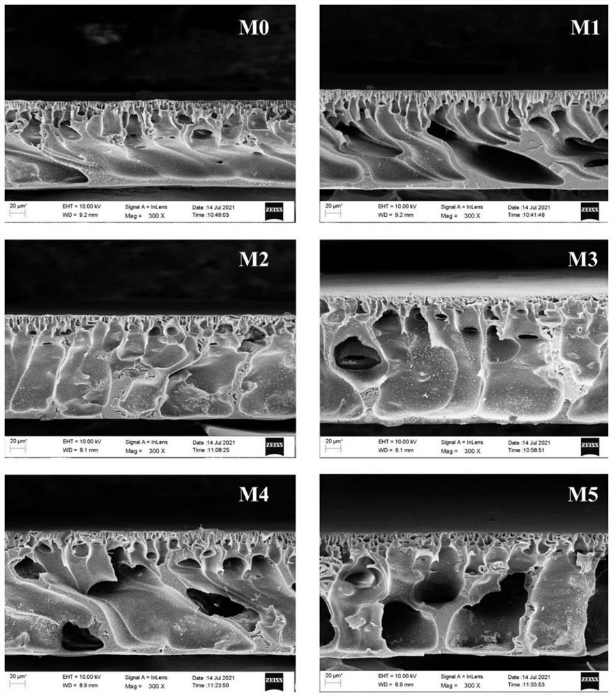 Modified poly-m-phenylene isophthalamide ultrafiltration membrane and preparation method and application thereof